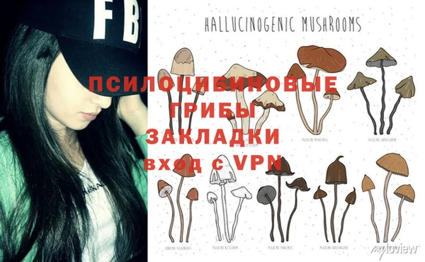 хмурый Богданович