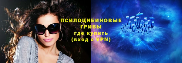 крисы Богородск